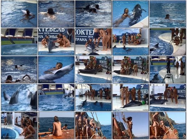 Nudism video - Dreaming of dolphins [DVD rip] [720 x 480 | 01:10:00 | 4.4 GB] [ヌーディズムコレクション]