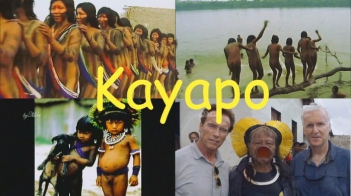 Kayapo - Native Indians of Eastern Brazil [Naked Tribe] [ヌーディズムコレクション]